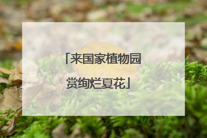 来国家植物园 赏绚烂夏花
