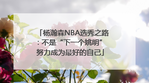 杨瀚森NBA选秀之路：不是“下一个姚明” 努力成为最好的自己