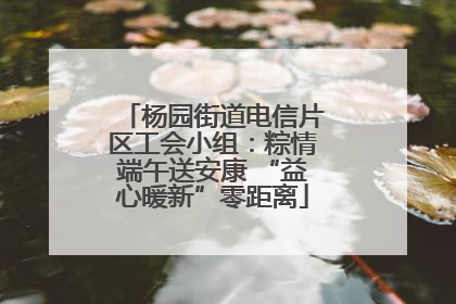 杨园街道电信片区工会小组：粽情端午送安康 “益心暖新”零距离