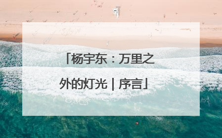 杨宇东：万里之外的灯光｜序言