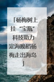 杨梅树上挂“宝瓶” 科技助力定海晚稻杨梅走出海岛