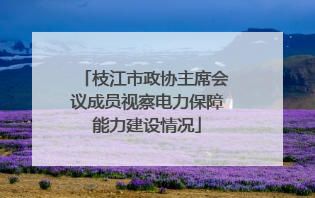 枝江市政协主席会议成员视察电力保障能力建设情况