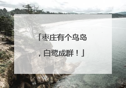 枣庄有个鸟岛，白鹭成群！