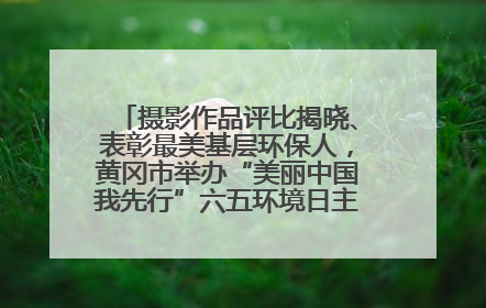 摄影作品评比揭晓、表彰最美基层环保人，黄冈市举办“美丽中国我先行”六五环境日主题宣传活动