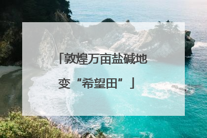 敦煌万亩盐碱地变“希望田”