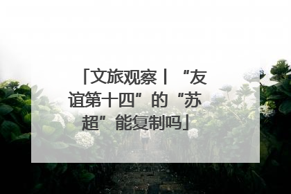 文旅观察丨“友谊第十四”的“苏超”能复制吗
