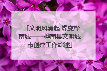 文明风涌起 蝶变桦南城——桦南县文明城市创建工作综述