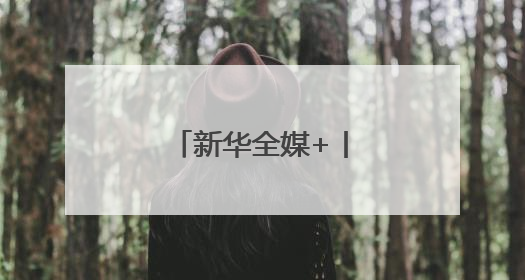 新华全媒+丨第9届中国—南亚博览会开幕