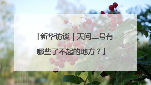 新华访谈｜天问二号有哪些了不起的地方？