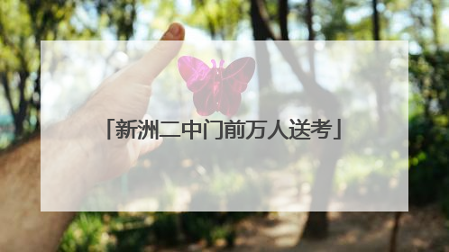 新洲二中门前万人送考