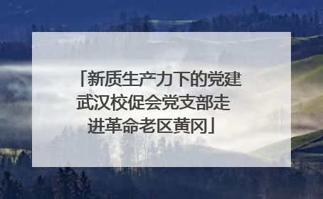 新质生产力下的党建 武汉校促会党支部走进革命老区黄冈