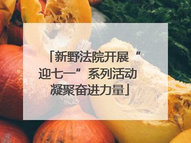 新野法院开展“迎七一”系列活动 凝聚奋进力量