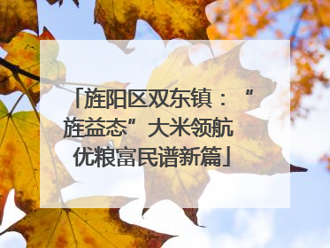旌阳区双东镇：“旌益态”大米领航 优粮富民谱新篇