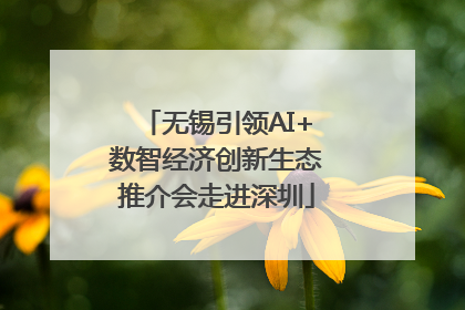 无锡引领AI+数智经济创新生态推介会走进深圳