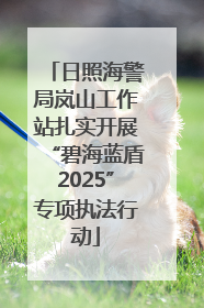 日照海警局岚山工作站扎实开展“碧海蓝盾2025”专项执法行动