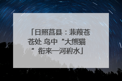 日照莒县：蒹葭苍苍处 鸟中“大熊猫”衔来一河碧水