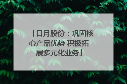 日月股份：巩固核心产品优势 积极拓展多元化业务