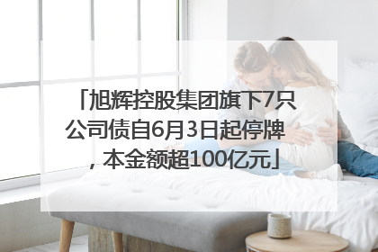 旭辉控股集团旗下7只公司债自6月3日起停牌，本金额超100亿元