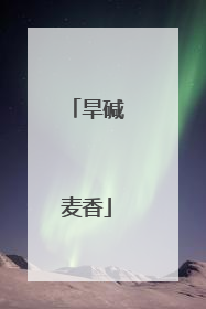 旱碱麦香