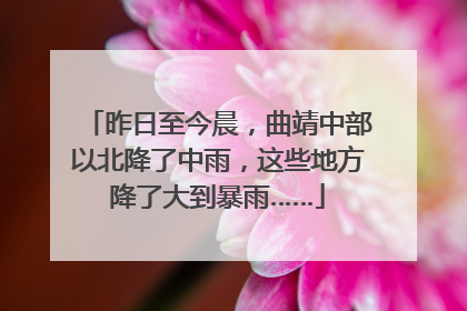 昨日至今晨，曲靖中部以北降了中雨，这些地方降了大到暴雨……