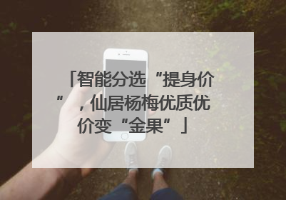 智能分选“提身价”，仙居杨梅优质优价变“金果”
