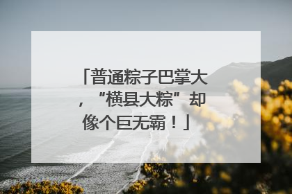 普通粽子巴掌大，“横县大粽”却像个巨无霸！