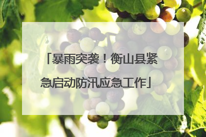 暴雨突袭！衡山县紧急启动防汛应急工作