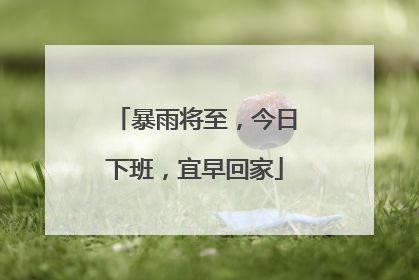 暴雨将至，今日下班，宜早回家