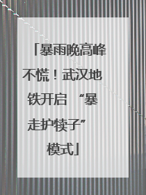 暴雨晚高峰不慌！武汉地铁开启 “暴走护犊子” 模式