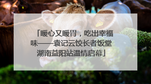 暖心又暖胃，吃出幸福味——袁记云饺长者饭堂湖南益阳站温情启幕