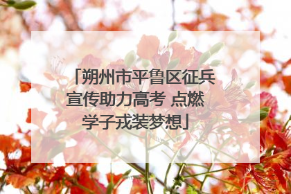 朔州市平鲁区征兵宣传助力高考 点燃学子戎装梦想