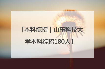 本科综招｜山东科技大学本科综招180人