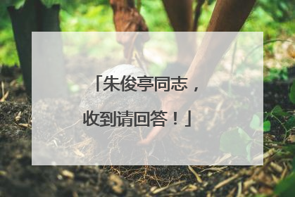 朱俊亭同志，收到请回答！