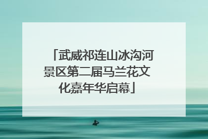 武威祁连山冰沟河景区第二届马兰花文化嘉年华启幕