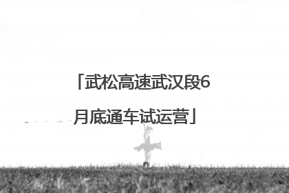 武松高速武汉段6月底通车试运营