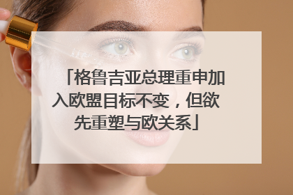 格鲁吉亚总理重申加入欧盟目标不变，但欲先重塑与欧关系