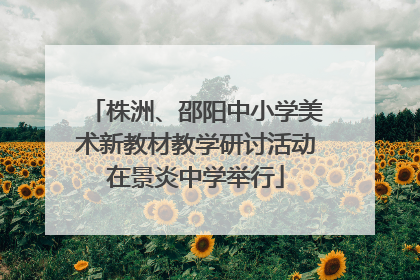 株洲、邵阳中小学美术新教材教学研讨活动在景炎中学举行