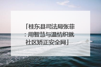 桂东县司法局张菲：用智慧与温情织就社区矫正安全网