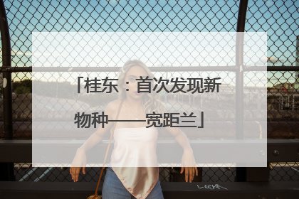 桂东：首次发现新物种——宽距兰