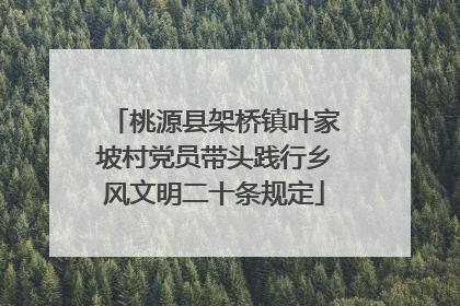 桃源县架桥镇叶家坡村党员带头践行乡风文明二十条规定