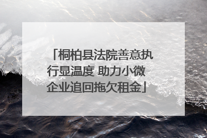桐柏县法院善意执行显温度 助力小微企业追回拖欠租金