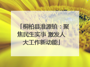桐柏县淮源镇：聚焦民生实事 激发人大工作新动能
