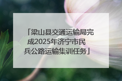 梁山县交通运输局完成2025年济宁市民兵公路运输集训任务