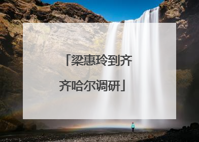 梁惠玲到齐齐哈尔调研