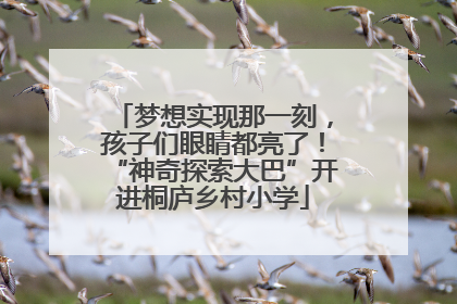 梦想实现那一刻，孩子们眼睛都亮了！“神奇探索大巴”开进桐庐乡村小学