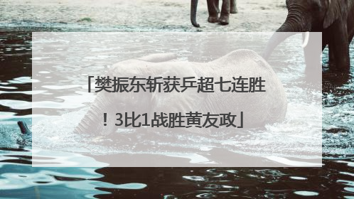 樊振东斩获乒超七连胜！3比1战胜黄友政