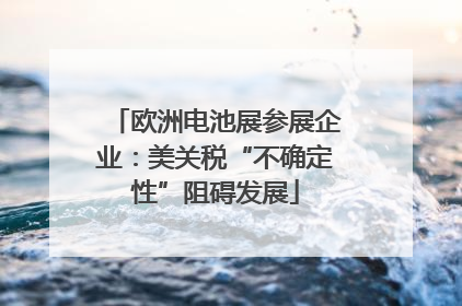 欧洲电池展参展企业：美关税“不确定性”阻碍发展