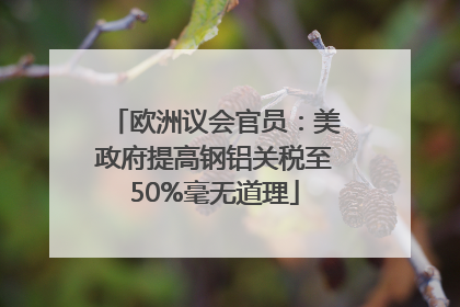 欧洲议会官员：美政府提高钢铝关税至50%毫无道理