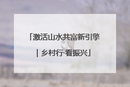 激活山水共富新引擎｜乡村行·看振兴