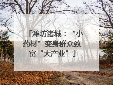潍坊诸城：“小药材”变身群众致富“大产业”